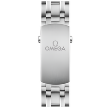 Omega Seamaster Diver 300M 42 mm, Steel On Steel