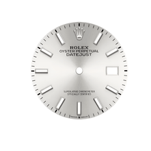 Rolex Oyster Perpetual Datejust 41 mm Silver Dial Automatic Men's Watch 126334SSJ
